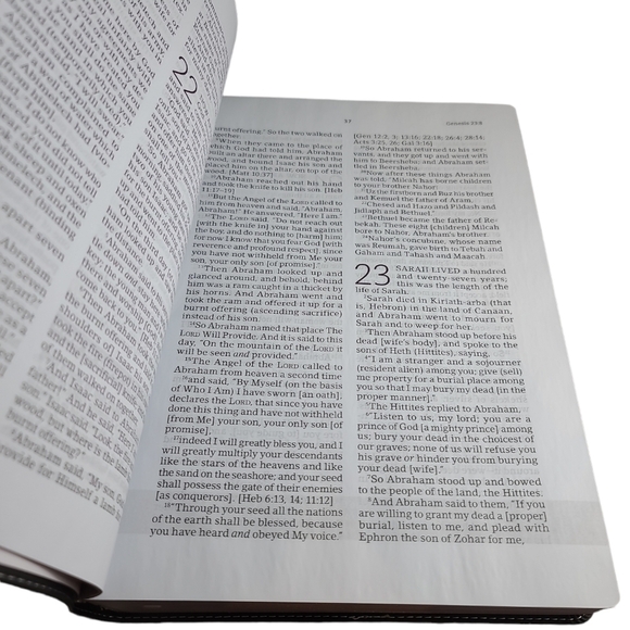 The Everyday Life Bible Joyce Meyer Study Bible Amplified Large Print - Picture 3 of 5
